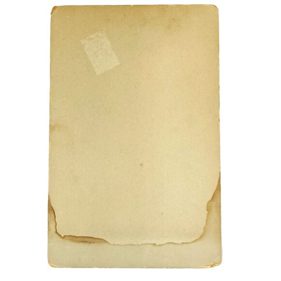 Cabinet Card Photo Victorian Woman 1800s Dress Studio Central Square Adams NY - Picture 8 of 12